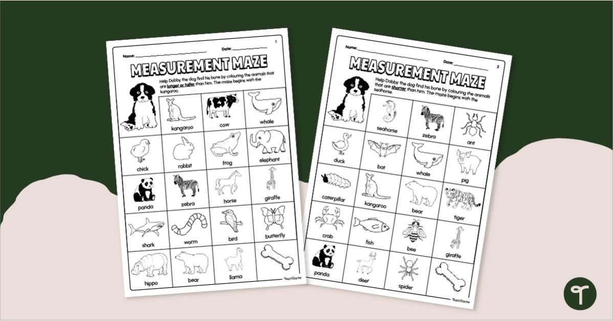 Measurement Maze Worksheets - Kindergarten/Foundation teaching resource