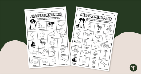 Go to Measurement Maze Worksheets - Kindergarten/Foundation teaching resource