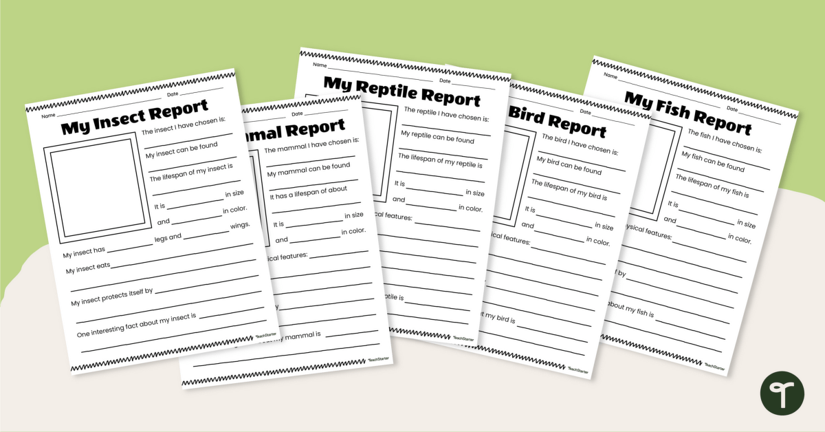 Animal Information Report Cloze Worksheets teaching-resource