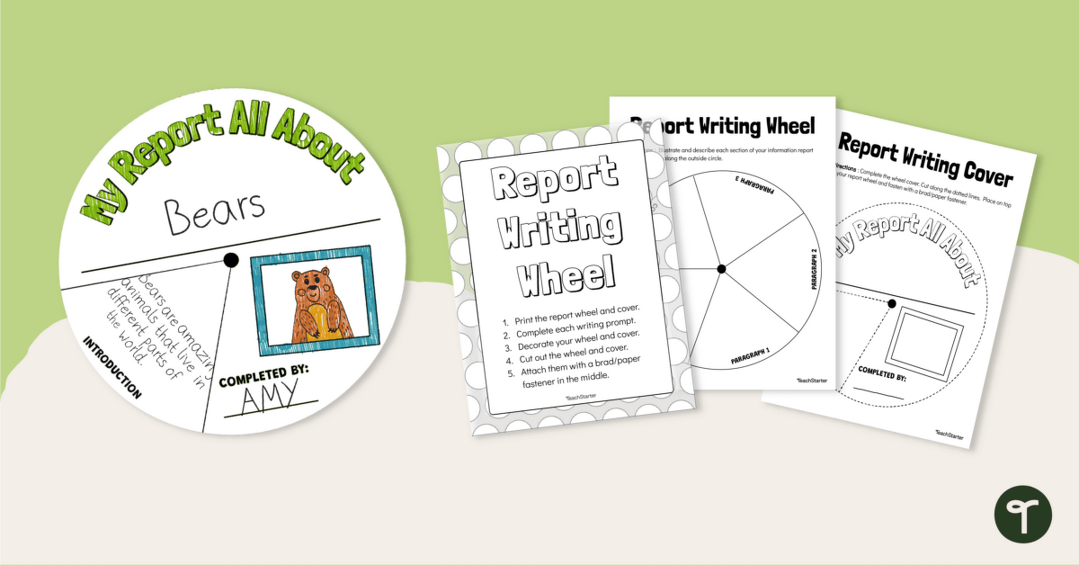 Report Writing Wheel Template teaching resource