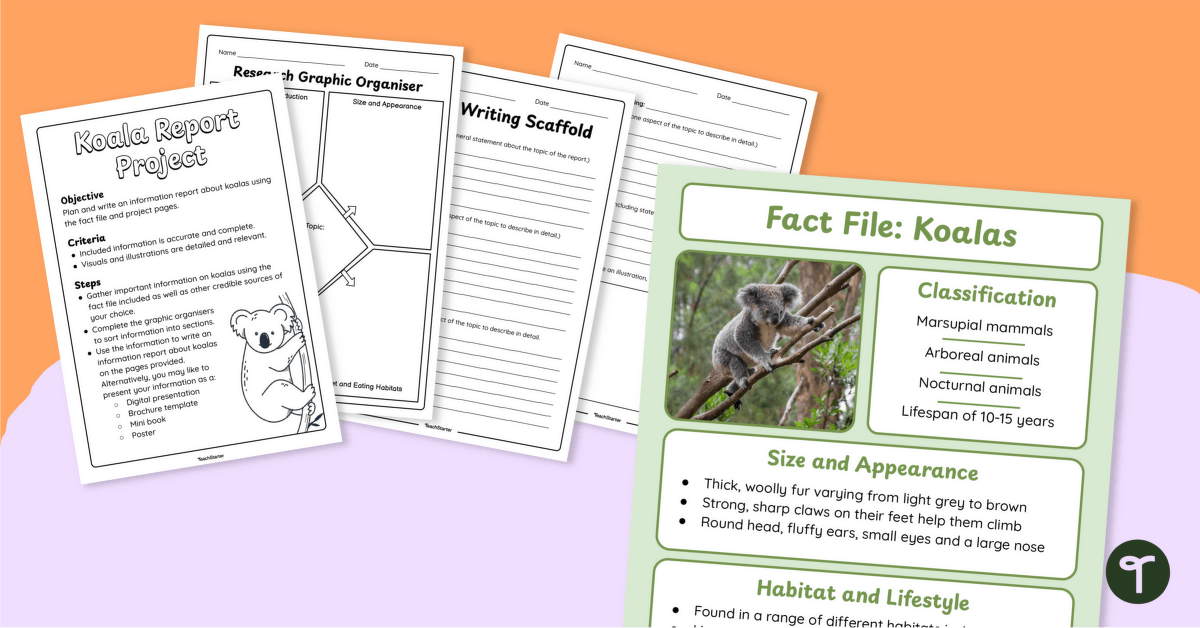 Koala Information Report – Writing Project teaching-resource