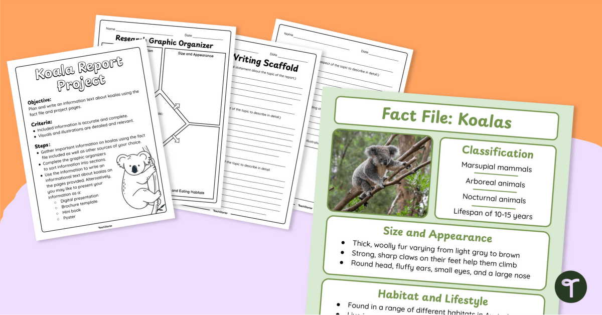 Koala Information Report – Writing Project teaching resource