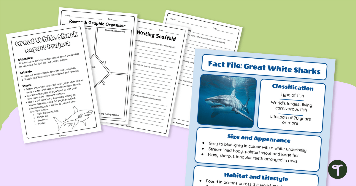 Great White Shark Information Report – Writing Project teaching resource