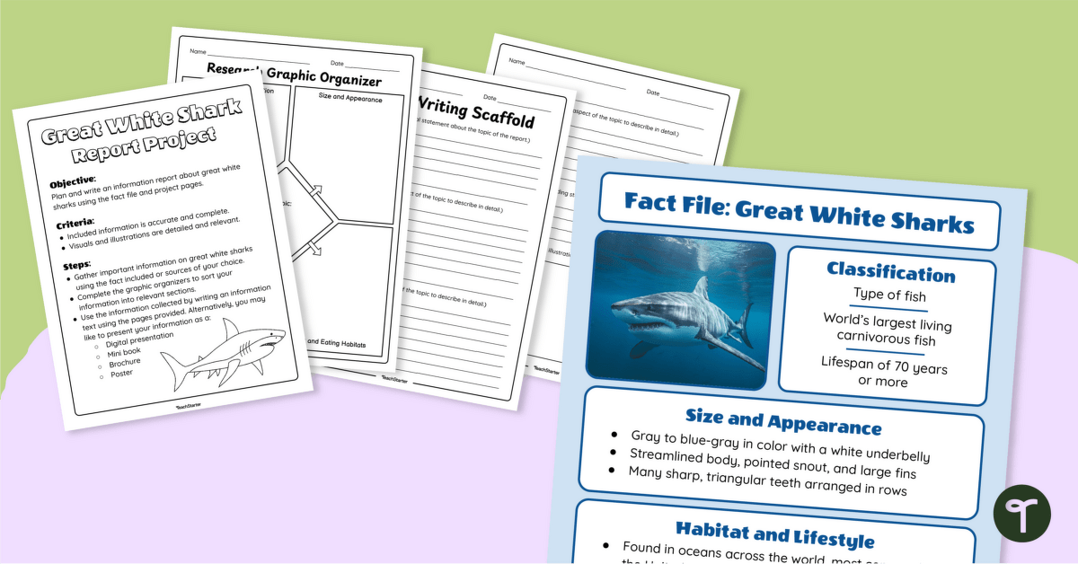 Great White Shark Information Report – Writing Project teaching-resource