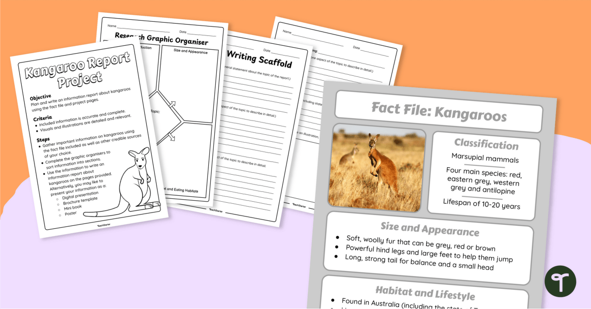 Kangaroo Information Report – Writing Project teaching resource