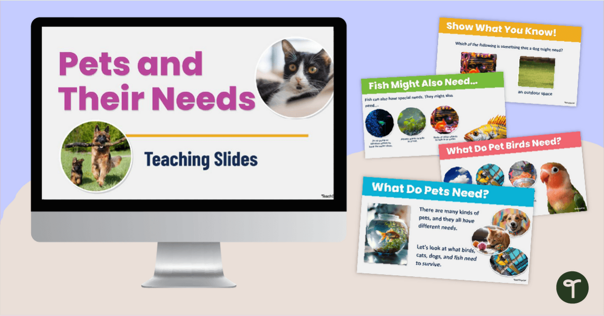 Pets and Their Needs PowerPoint Teaching Slides teaching resource