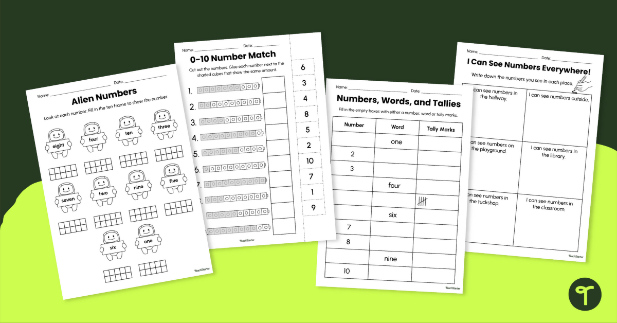 Number Recognition Worksheet Pack teaching resource