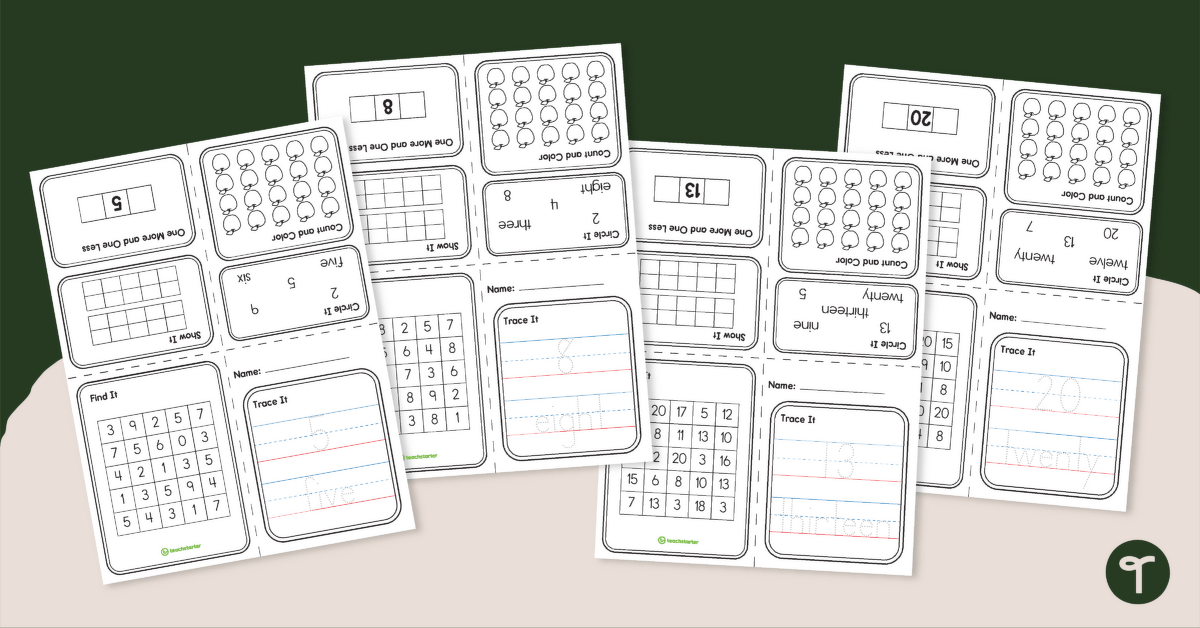 Numbers 1 - 20 Mini Number Books Pack teaching resource