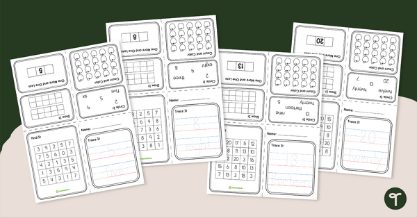 Go to Numbers 1 - 20 Mini Number Books Pack teaching resource