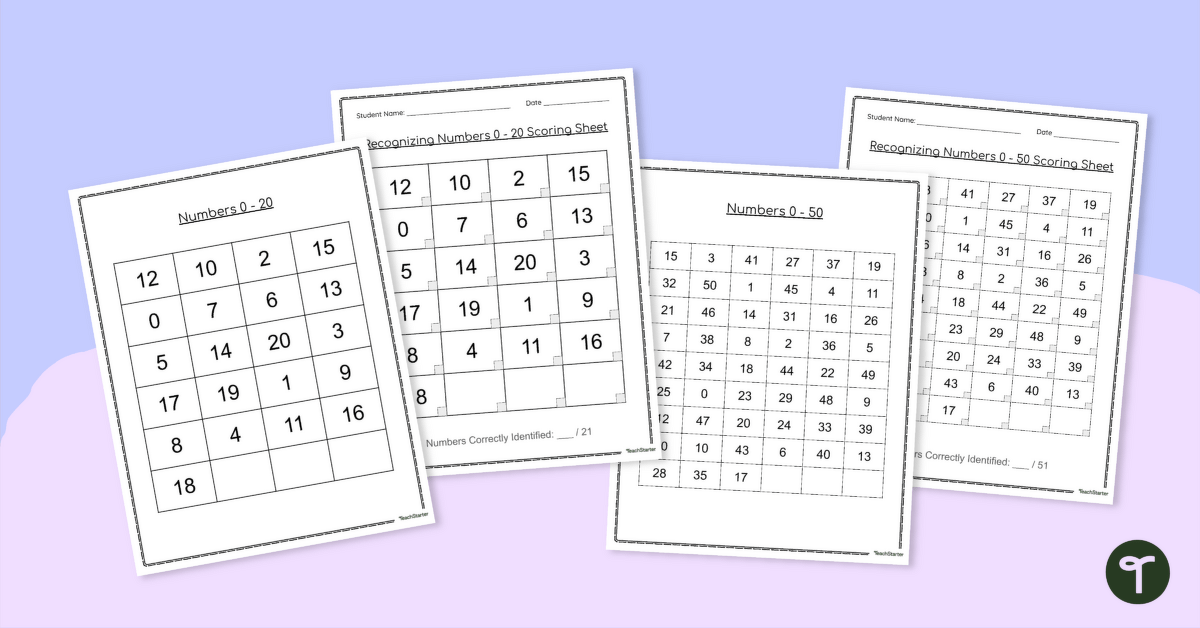 Number Recognition Assessment Pack teaching resource