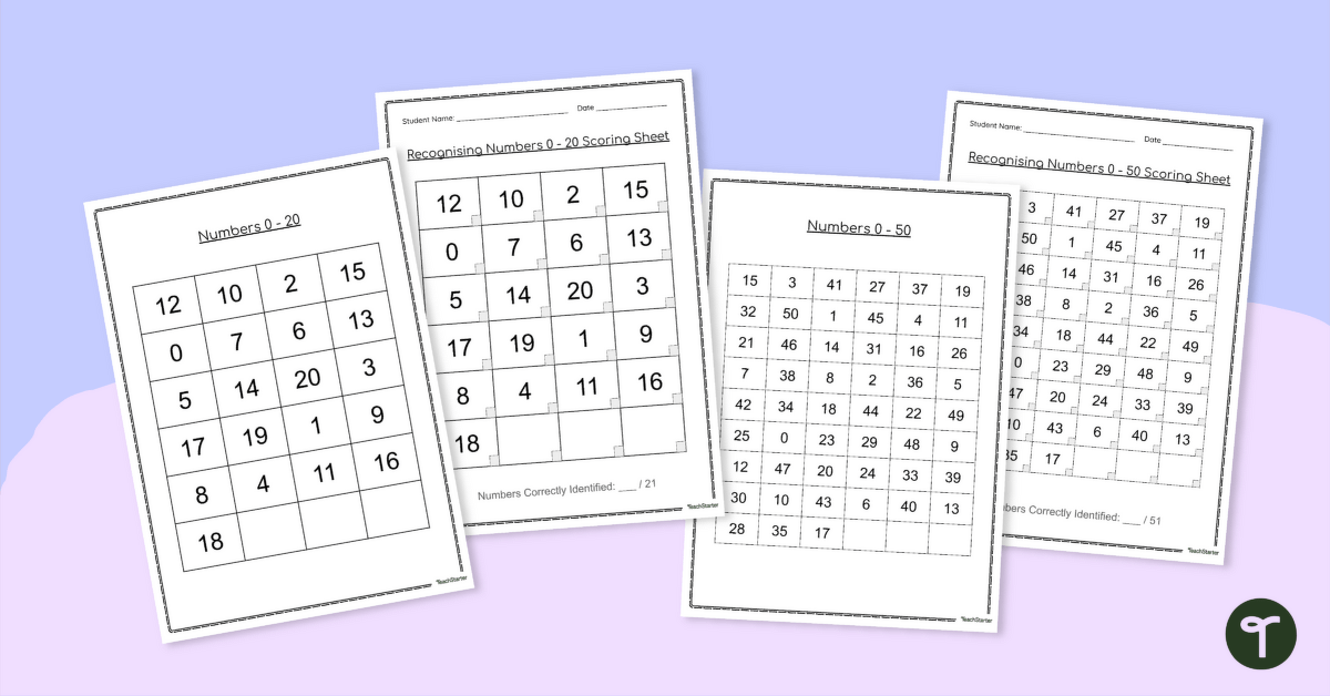 Number Recognition Assessment Pack teaching resource