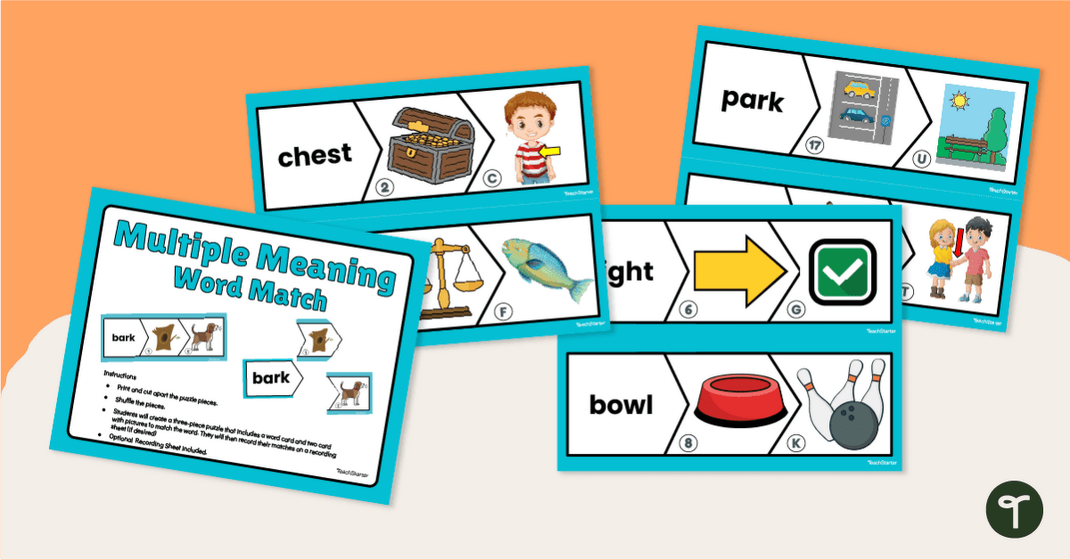 Multiple Meaning Match-Up Cards teaching resource