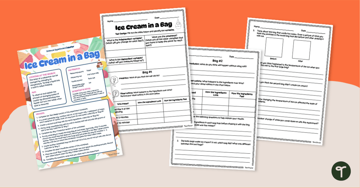 Removing Heat – Ice Cream in a Bag Experiment teaching resource