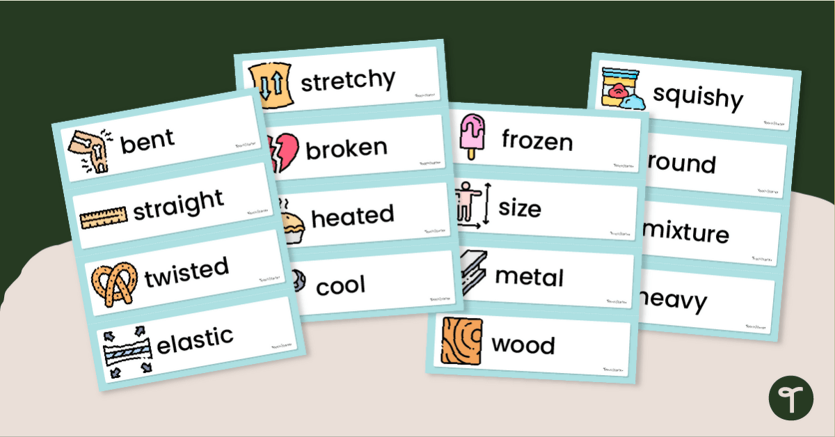 Describing Matter  – Word Wall (Illustrated) teaching resource