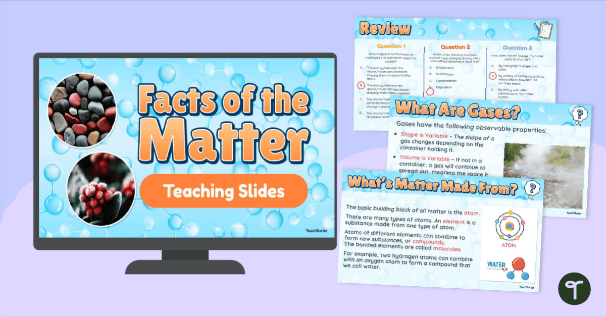 Facts of the Matter Teaching Presentation teaching resource