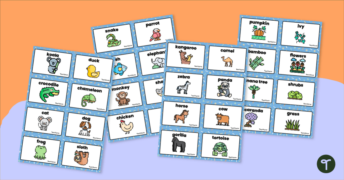 Plants and Animals Flashcards teaching resource