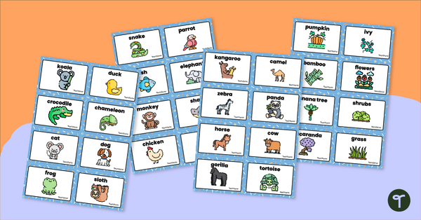 Go to Plants and Animals Flashcards teaching resource