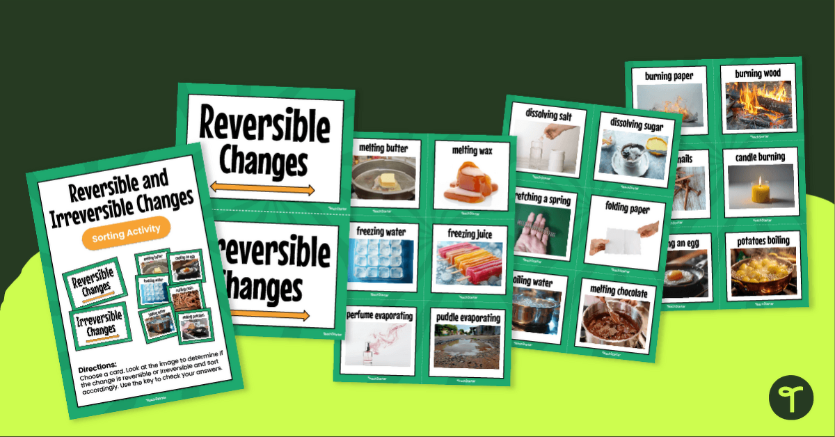 Reversible and Irreversible Changes Sort teaching resource