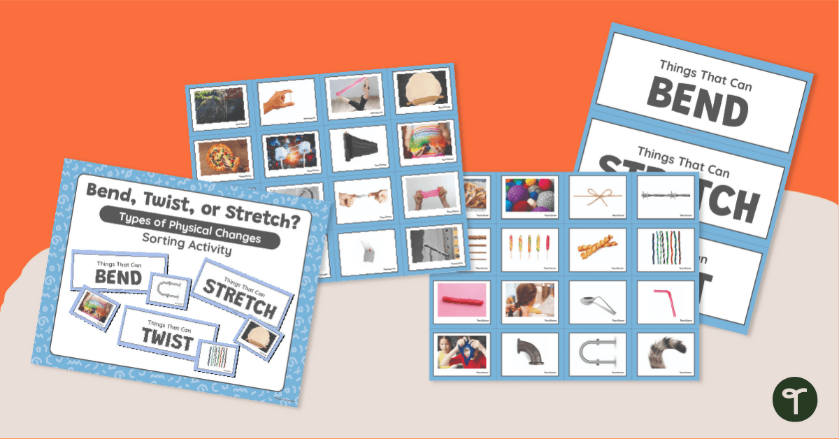 Things That Stretch, Bend and Twist – Sorting Activity teaching resource