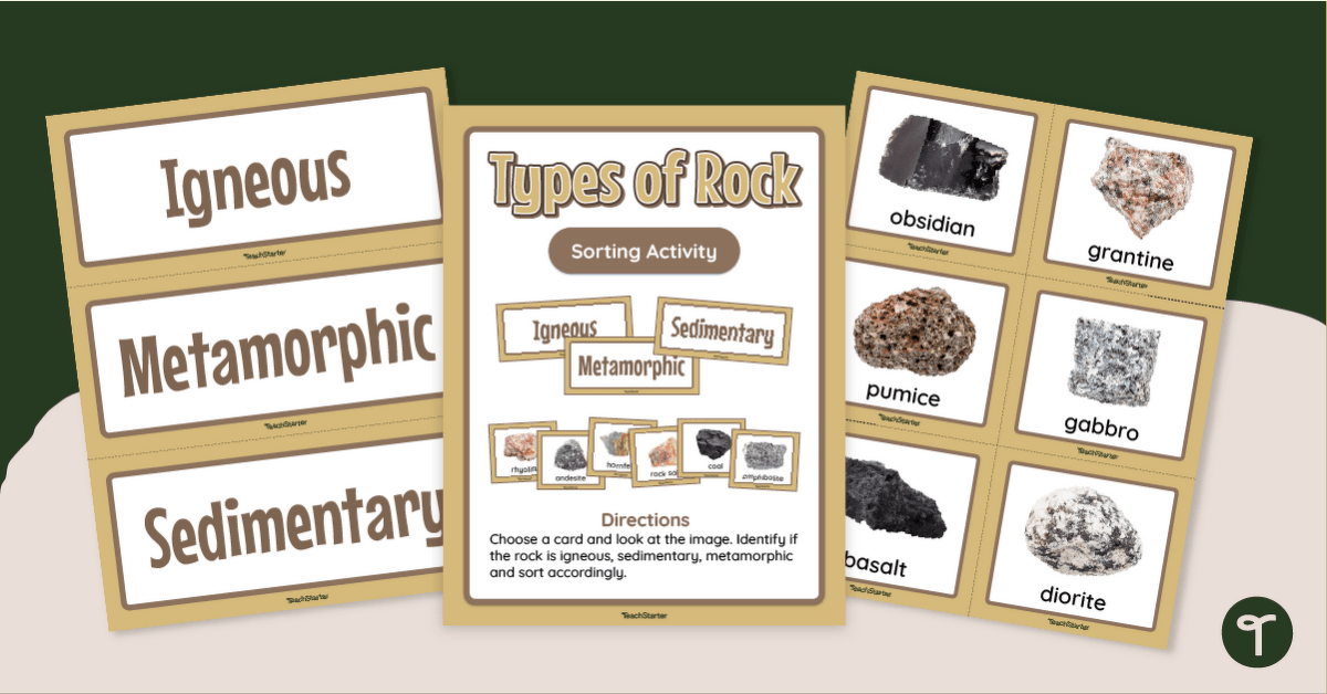 Metamorphic, Sedimentary and Igneous Rock Sorting Activity teaching resource