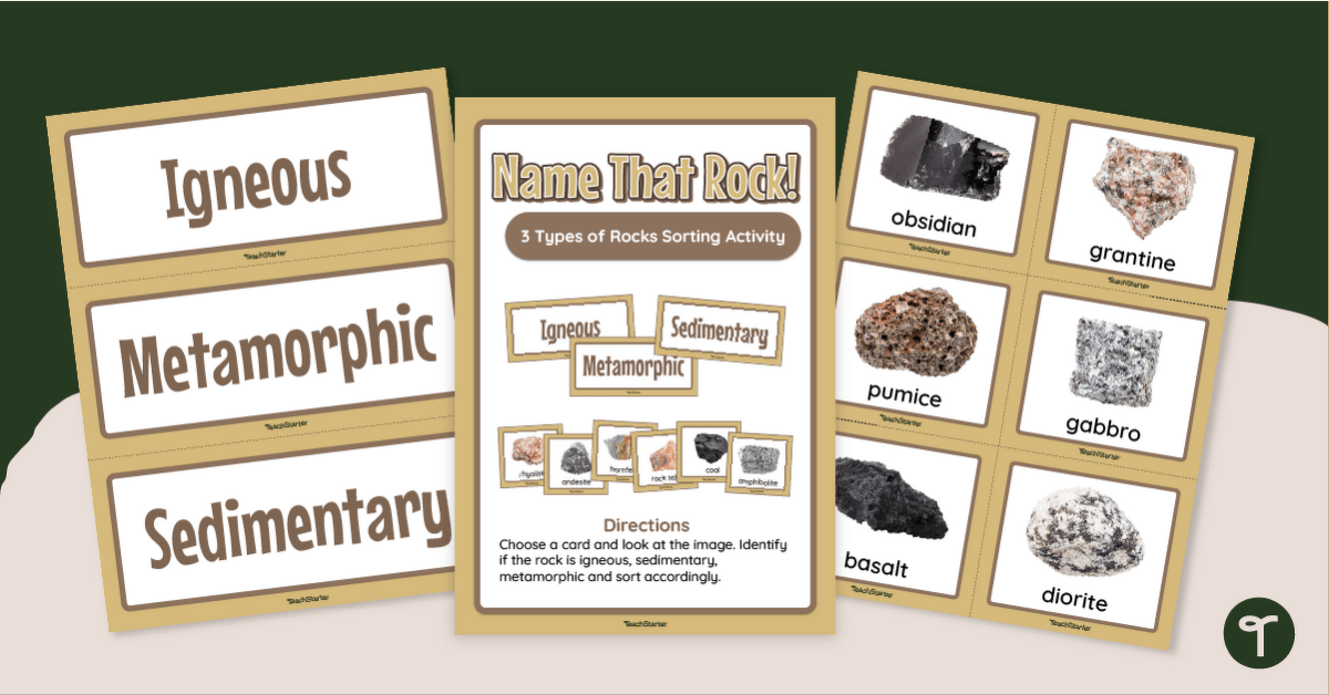 'Name That Rock' - Rock Classification Activity teaching resource