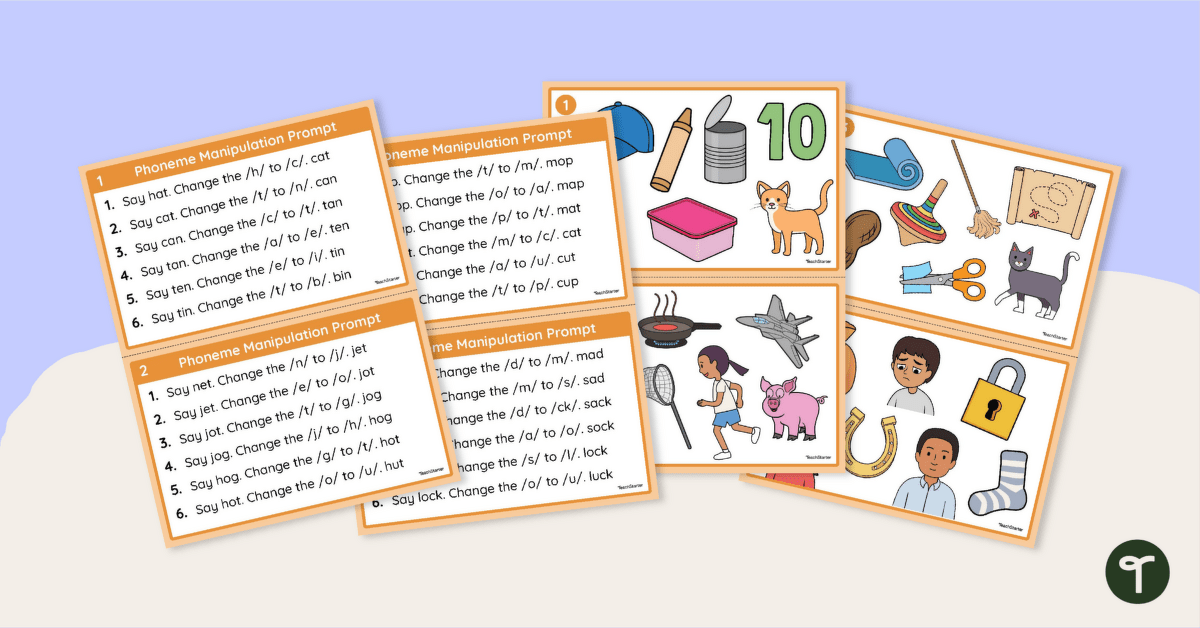 Phoneme Substitution Activity Cards teaching resource