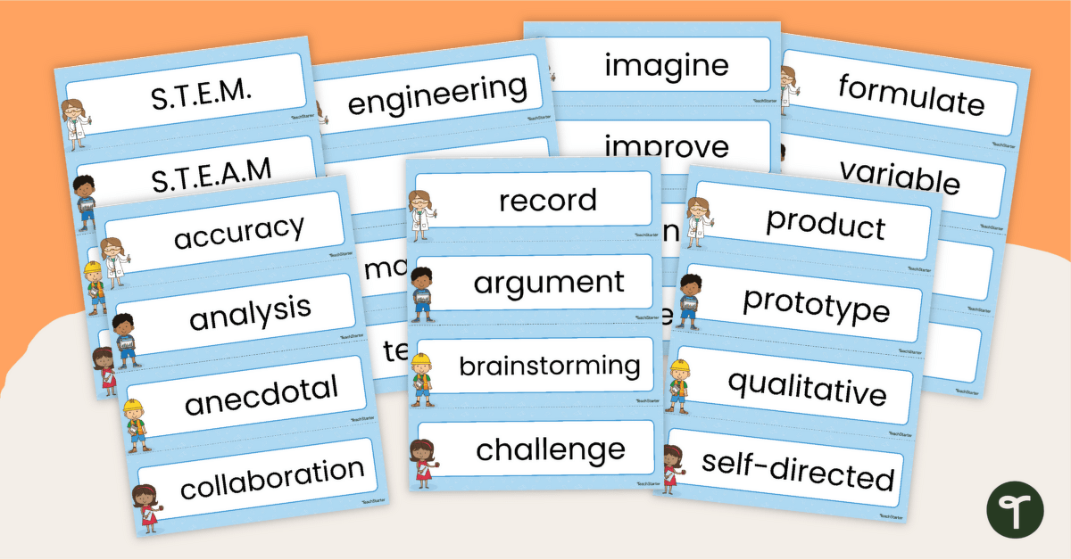 STEM Word Wall Cards teaching resource