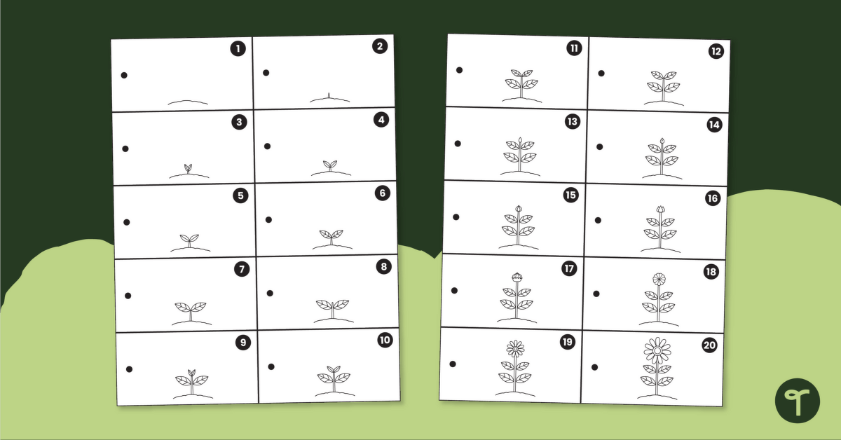 Animated Flip Book (Ordering Numbers) teaching resource