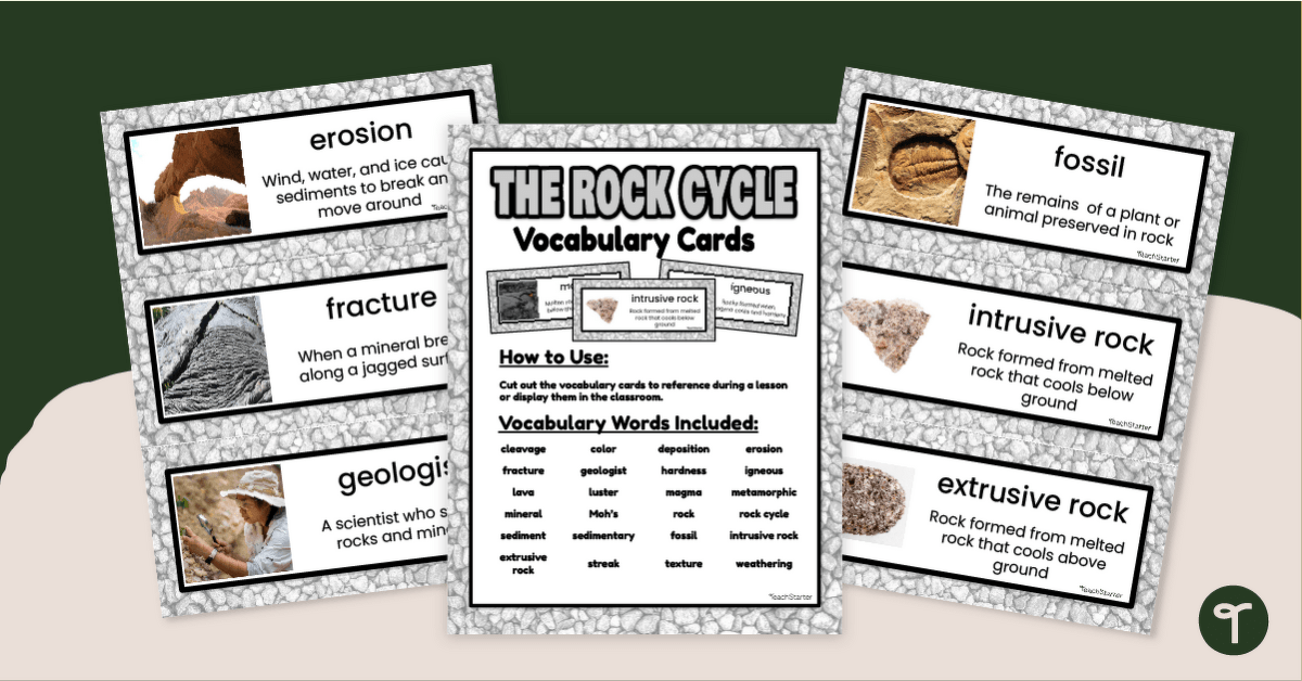 Rock Cycle Vocabulary Word Wall teaching resource