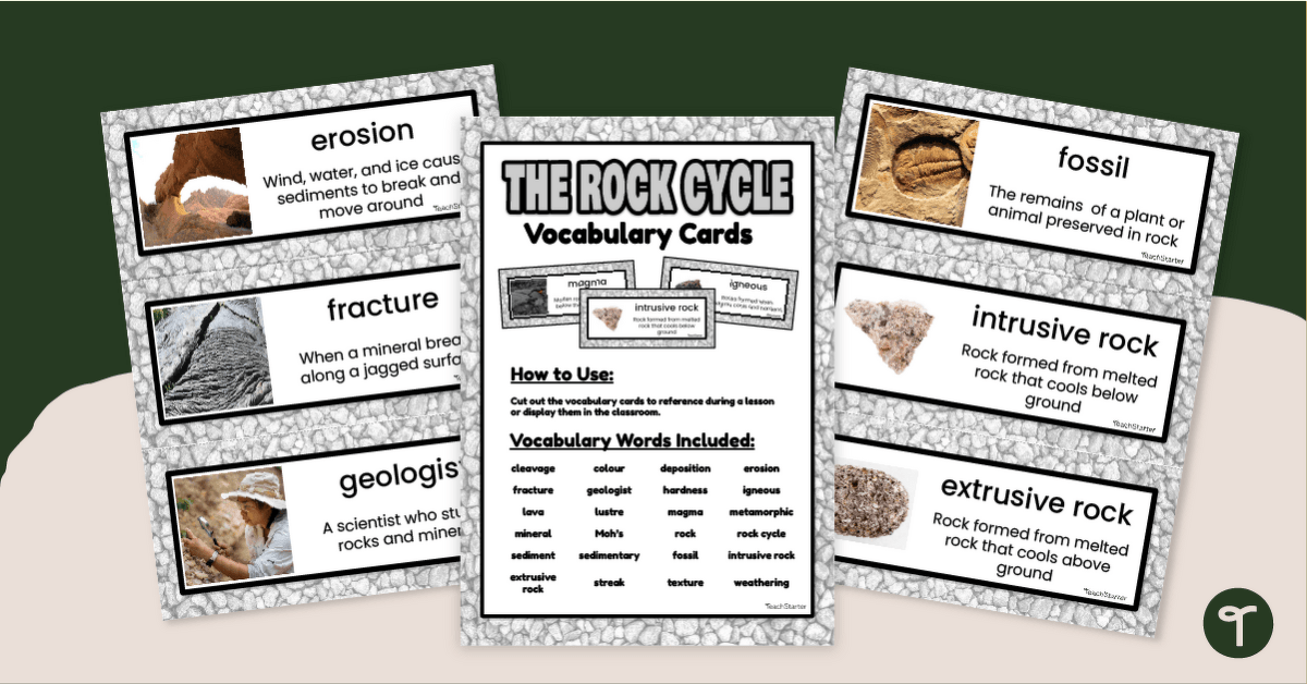 Rock Cycle Photo Vocabulary Word Cards teaching resource