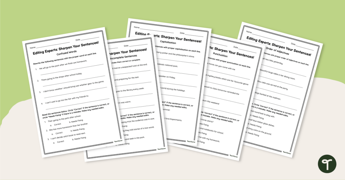 Editing Sentences – Year 4 Worksheets teaching resource