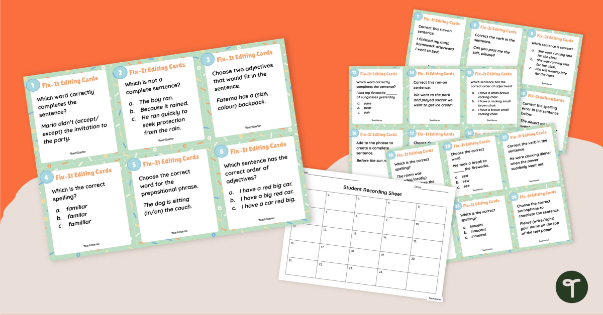 Year 4 Grammar Review Task Cards teaching resource