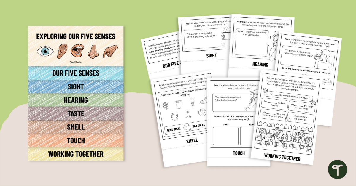 Five Senses Activity Flipbook teaching resource