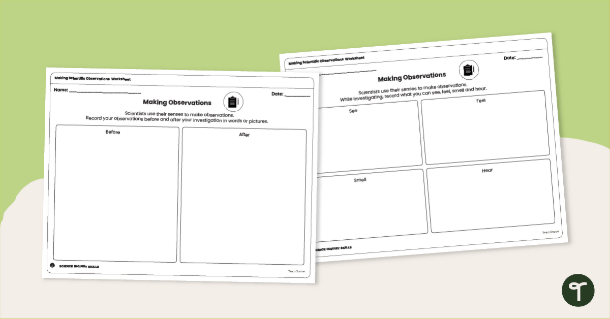 Making Scientific Observations Worksheets teaching resource