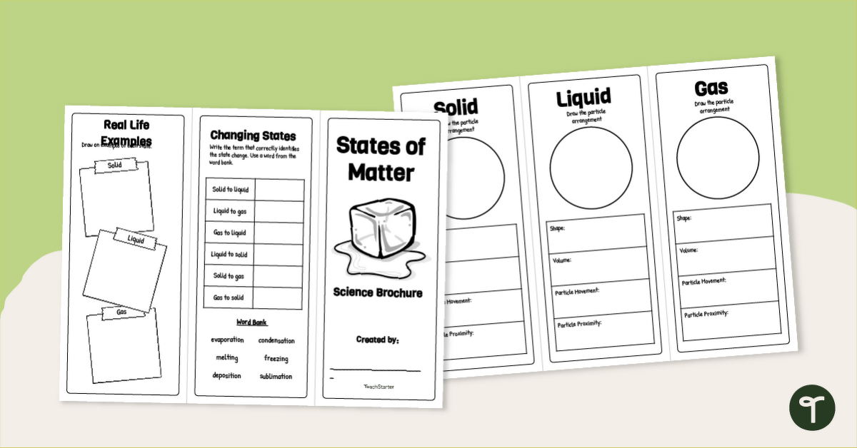 States of Matter Foldable Brochure Template teaching resource