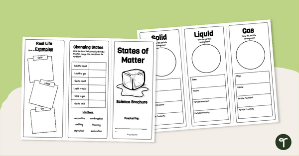 Go to States of Matter Foldable Brochure Template teaching resource