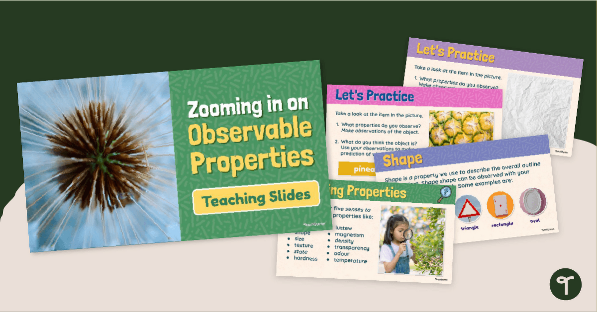 Zooming in on Matter Properties Teaching Slides teaching resource