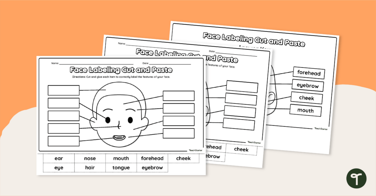 Free Parts of the Face Worksheet teaching resource