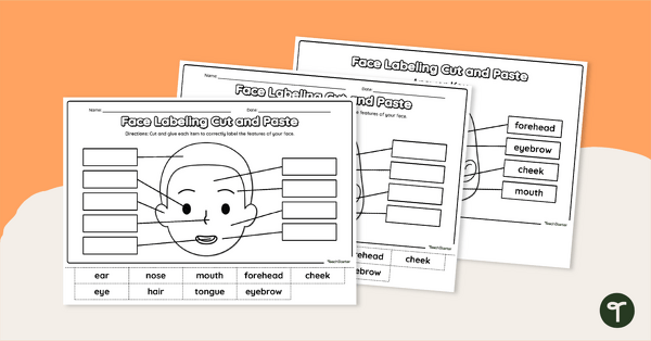 Go to Free Parts of the Face Worksheet teaching resource