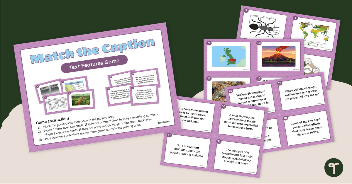 Caption Text Feature Matching Game teaching resource