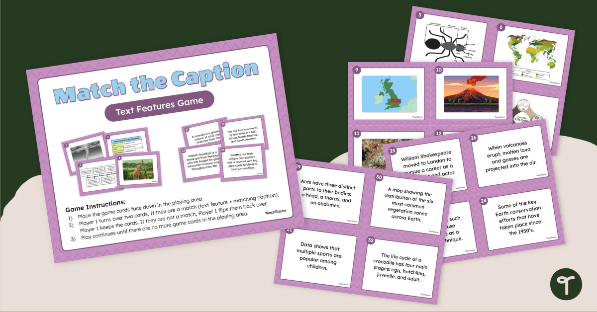 Caption Text Feature Matching Game teaching resource