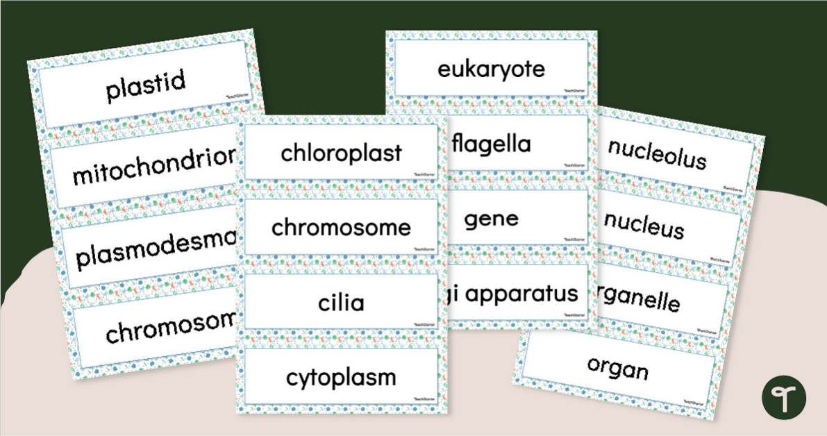 Plant v. Animal Cell Vocabulary Word Wall teaching resource