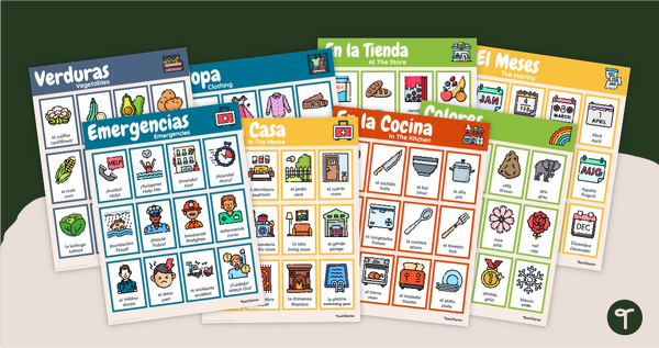 Go to Simple Spanish Language Vocabulary Posters teaching resource