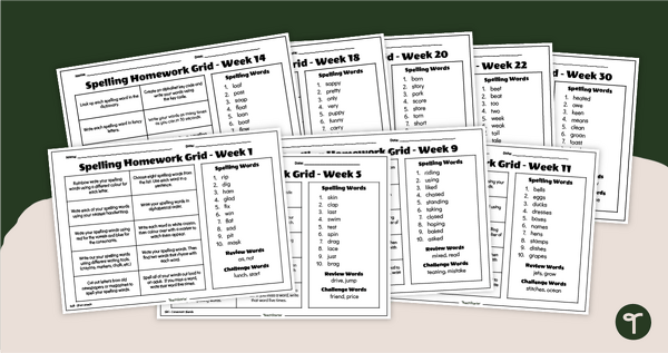 Go to Year 2 Spelling Practice Worksheets - Weekly Homework teaching resource