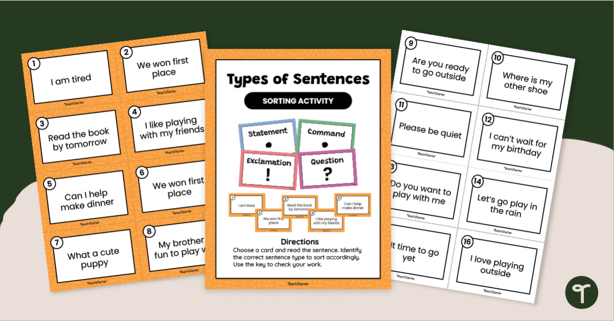 Sort It Out! - 4 Types of Sentences Practice Activity teaching resource