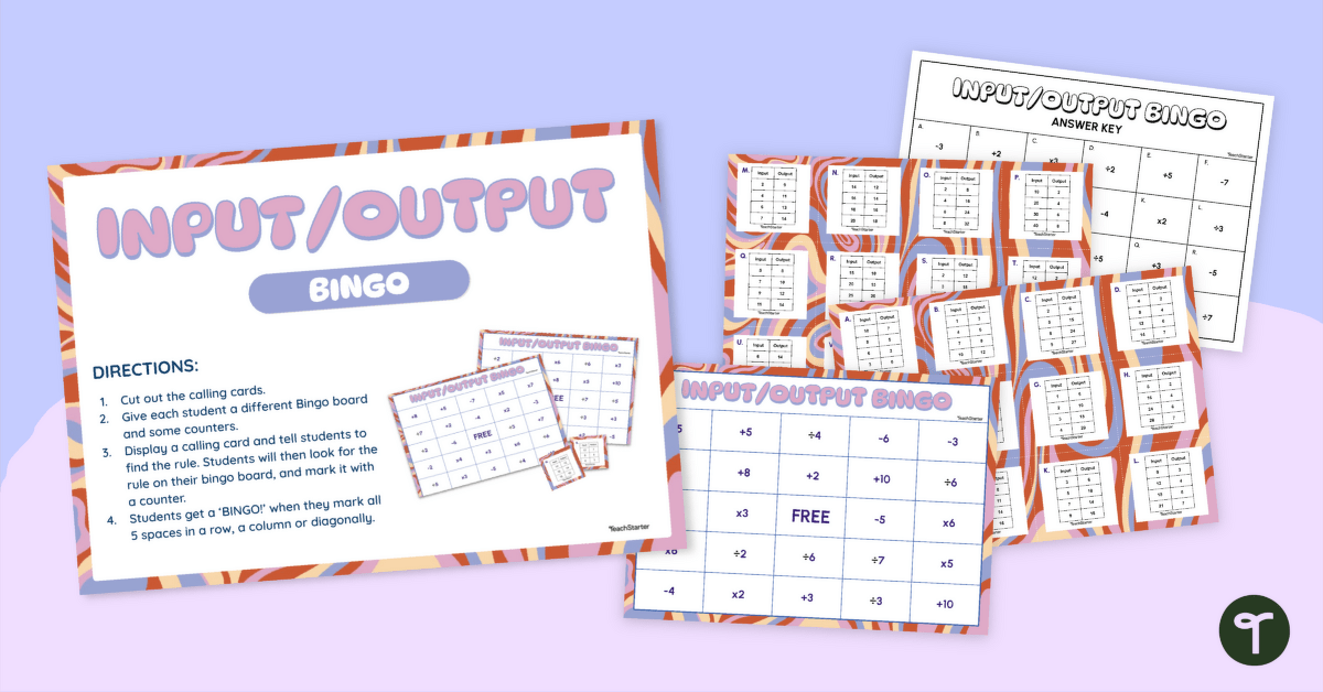 Input Output Activities — Bingo teaching resource