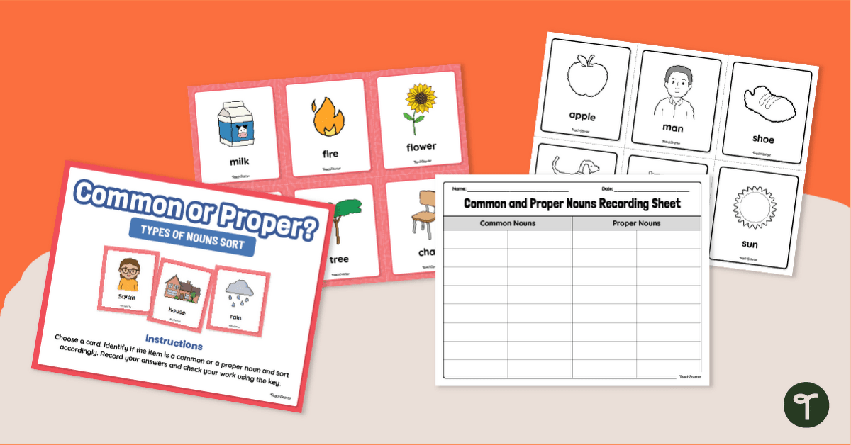 Sort It Out! Common and Proper Nouns Game teaching resource