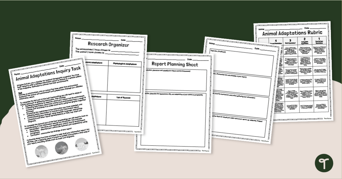 Animal Adaptations Project & Report teaching resource