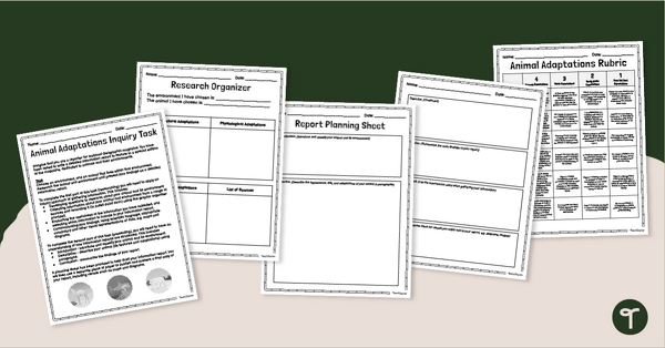 Go to Animals That Adapt - Research Project & Report teaching resource