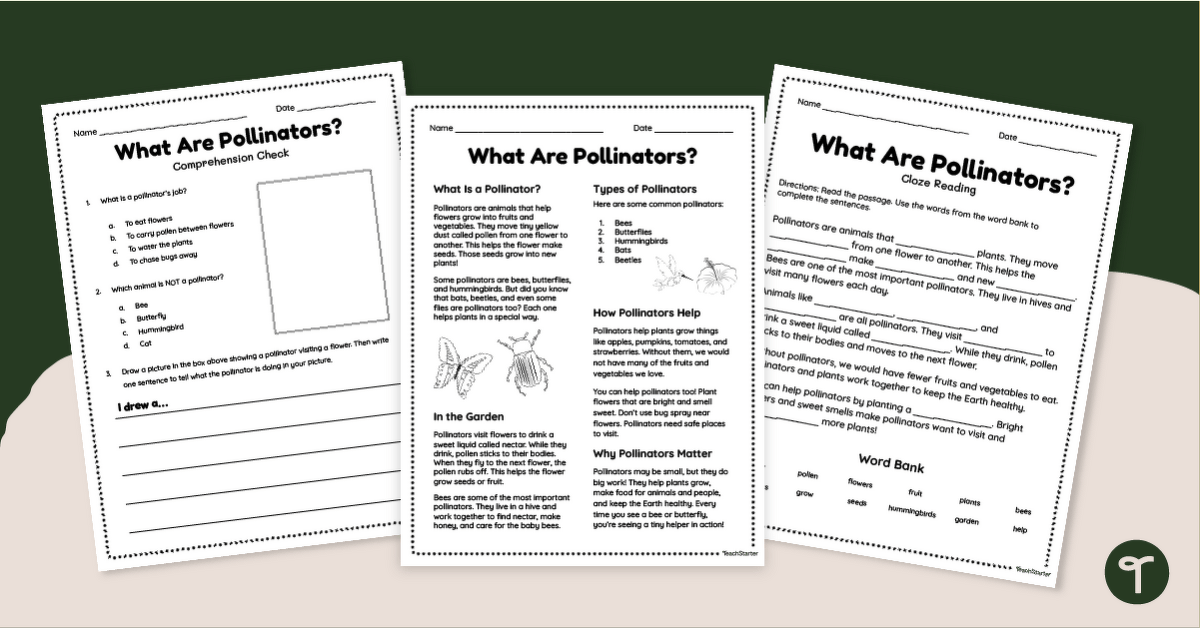 What Are Pollinators? Year 2 Comprehension Worksheet Pack teaching resource
